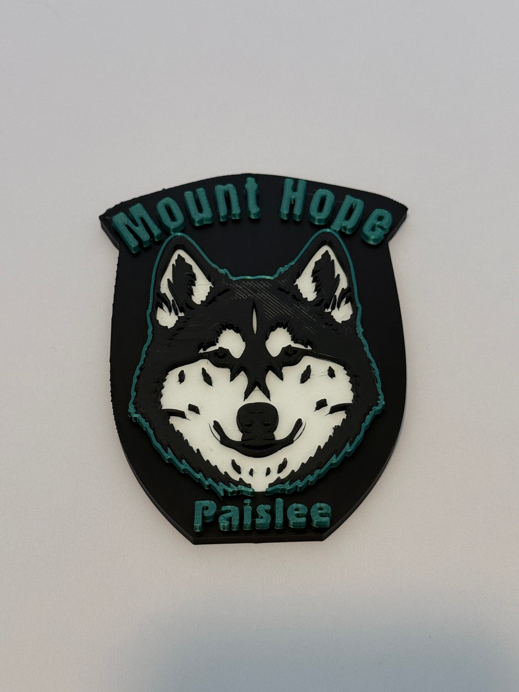 Custom 3D Printed sports Bag Tag
